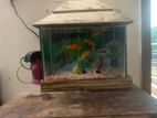 Aquarium will be sell..