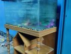 Aquarium with 2 oxygen tank
