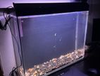 Aquarium with full setup