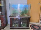 Aquarium with Stand And Equipment