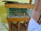 Aquarium with Wooden Stand