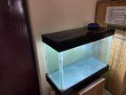 Aquarium,dual Pump,original Stone