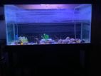 aquarium,light,machine