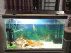 Aquarium For Sell