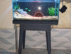 Aquarium for sell