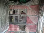 অর্ডার দিয়ে বানানো খাঁচা
