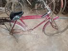 Bicycle For Sell