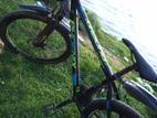 Phoenix Bicycle for sale