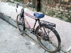 Bicycle for sell