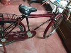 Bicycle for sell