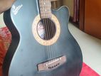 অরিজিনাল Poplor Signature অ্যাকোস্টিক গিটার বিক্রি হবে