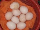 অরিজিনাল সিল্কি মুরগির বীজ ডিম