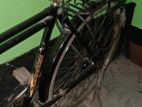 Bicycle for sell