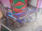 Duranta Bicycle for sale