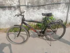 Bicycle for Sell