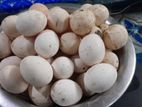 অর্জিনাল ফাউমি বীজ ডিম বিক্রয়