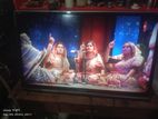 32" Singer LED TV