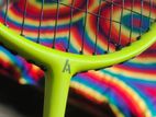 Ashaway Badminton Racket