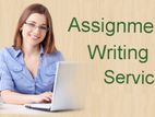 ASSIGNMENT WRITER PROVIDER