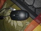 Mouse for sell