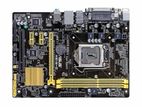 Asus H81