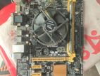Asus H81 Motherboard