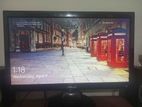 Asus Monitor 19.5" Inch