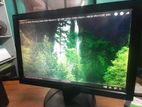 Asus Monitor