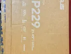 Asus VP229HF Gaming monitor