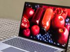 Asus ZenBook Ryzen 5