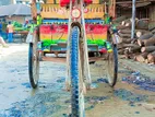 অটো রিক্সা বিক্রি হবে