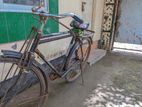 Bicycle for sell