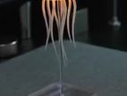 Aurora Mood Light (rechargeable)