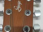 Authentic Semi-Electric Signature Gogo's guitar