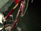 Bicycle for sell