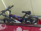 Avon gear Cycle