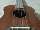 Axe 24” Concert Size Ukulele