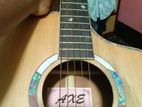 Axe Gitter