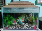 Aquarium for sale