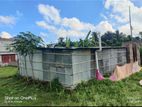 House for sell