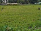 লিটল লন্ডন হাউজিং প্রজেক্ট এর জায়গা বিক্রয়
