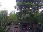 বাড়ি সহ ৩কাঠার কিছু পরিমাণ বেশি জমি বিক্রি করা হবে।আলোচনা সাপেক্ষ।