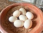 বাহমা বীজ ডিম
