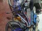 Bicycle for Sale