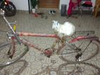 Bicycle for sell