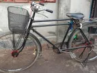 Phoenix Bicycle for sale