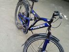 Bicycle for sell