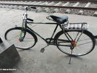 Bicycle for sell