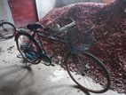 বাইসাইকেল - চায়না ফনিক্স