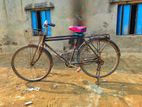 Bicycle for sell